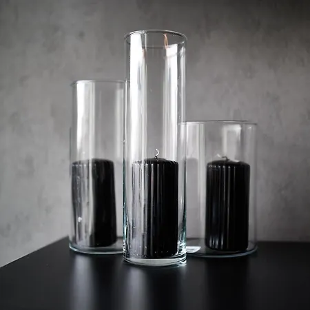 Magnolia Modern By Bookinghost * Wroclaw